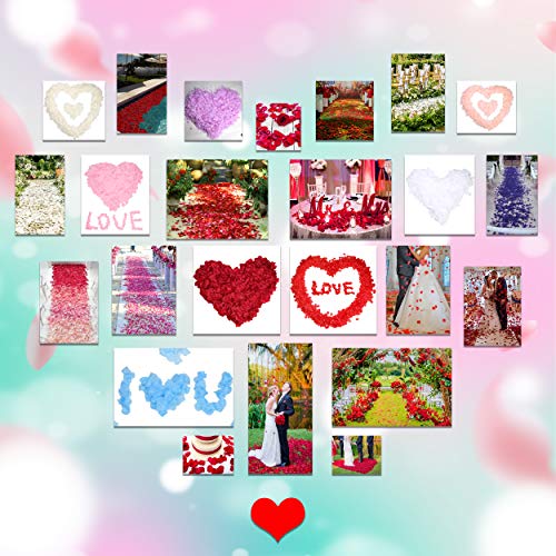 Childom 3000 Pcs Silk Rose Petals, Rose Flower Petals Decorations, Fake Rose Petals Roses Artificial Flowers Petals for Wedding, Valentines, Romantic Night, Birthday,Proposal Anniversary Flower Decor