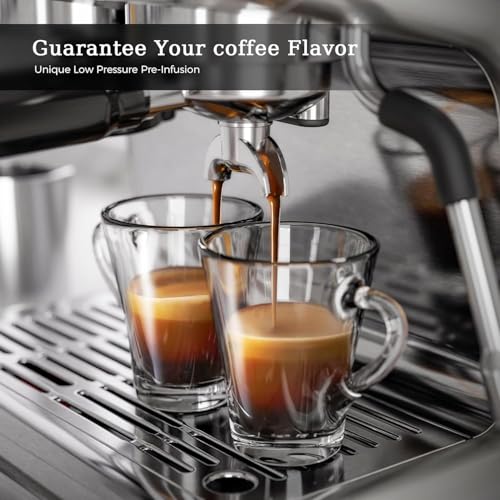 Professional Espresso Machine with Milk Frother