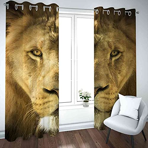 Rideaux occultants de qualité supérieure en polyester imprimé lion 3D