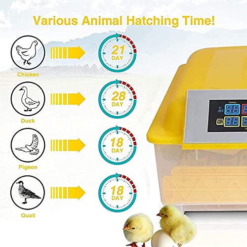 Automatische ei-incubator, 96 eieren geleid hoog-efficiëntie automatische temperatuurregeling, automatische ventilatie… - Afbeelding 3