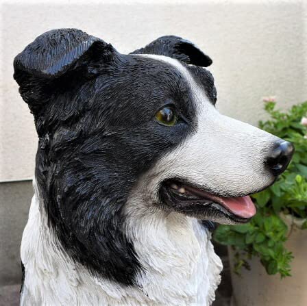 Amazon.co.jp: 犬の置物 大型犬 ボーダーコリー T14053 いぬ