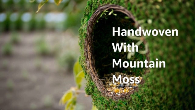 SuperMoss Vogelfutterstation Aus Moos – 30,5x12,7 Cm, Handgewebtes Weidengeflecht, Für Draußen
