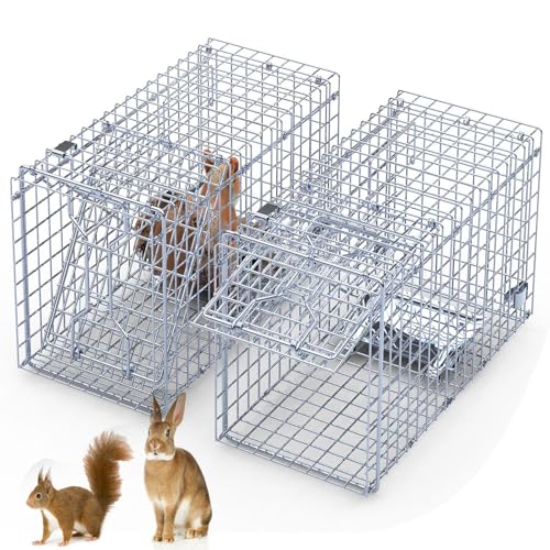 iMounTEK Ă铮gbv 2pbN ܂肽ݎgbv - 18x8x10C` ܂肽ݎAj}P[W bLS Lb`&[X qL ȃETM L X ACO} C^` A}W