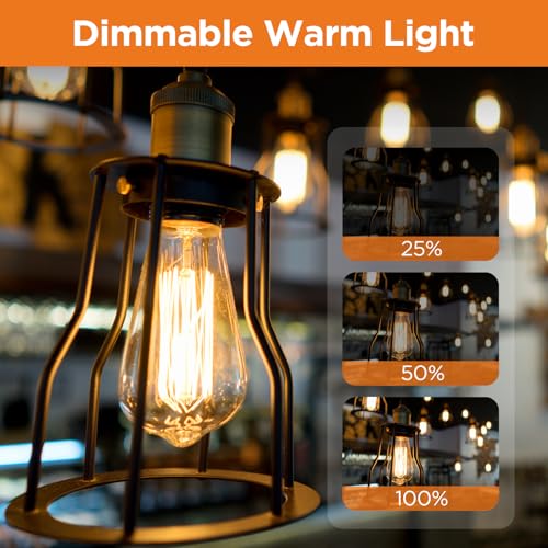 6 Pack Dimmable ST64 Vintage Edison Bulb, E27 Screw Filament Bulb Amber Warm White 2700K, Squirrel Cage Shaped Filament Bulb, Suitable for Bedroom, Cafe, Chandelier, Bookstore, Interior Decoration - Image 3