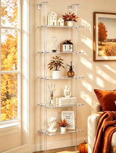 Walasis 5-Tier Clear Acrylic Ladder Shelf