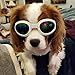 QUMY Dog Sunglasses Dog Goggles for Medium Large Breed Dogs, Wind Dust Fog Protection Eye Wear Pet Glasses with Adjustable Strap for Motorcycle Car Driving Bike Riding Hiking Swimming Over 15lbs White