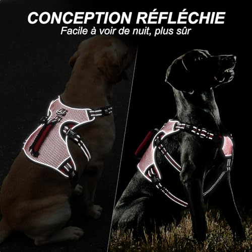 Image of HEELE Dog Harness, Escape Proof Dog Harness, Release on Neck, No Pull Reflective Adjustable Vest with Durable Handle, Dog Harness for Outdoor Training Walking, Dog Harness for Small /Active Dogs, S