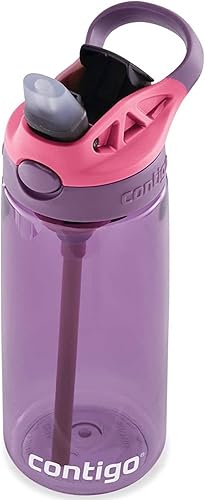 Contigo - Botella de agua Aubrey para niños, 20 onzas, diseño de berenjena, tapa a prueba de derrames, apta para lavavajillas, fácil de limpiar,