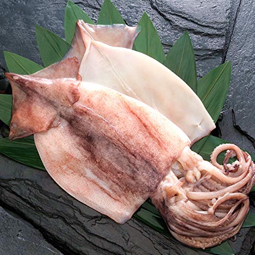 北のデリシャス 北海道産 干物 ピチピチ造り いか魚醤干し (冷凍品) 海鮮 水産 いか イカ 烏賊 グルメ お取り寄せ