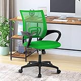 Desk Chair Home Office Chair with Lumbar Support& Armrest, Adjustable Ergonomic Mid Back Computer Chair Executive Rolling Swivel Mesh Office Desk Chairs for Adults, Green -  Lucky Shop