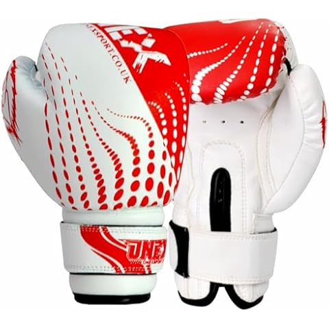 EGO Muay Thai Kickboxing Gloves for Juniors Cover