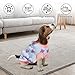 Hundepullover, Hund Rollkragenpullover Strickpullover, Winter Warmer H-undepullover, Hun-depullover Kleine Hunde, Weihnachten Hund Pullover, Haustier Pullover Rollkragen, für Kleine Hunde und Katzen