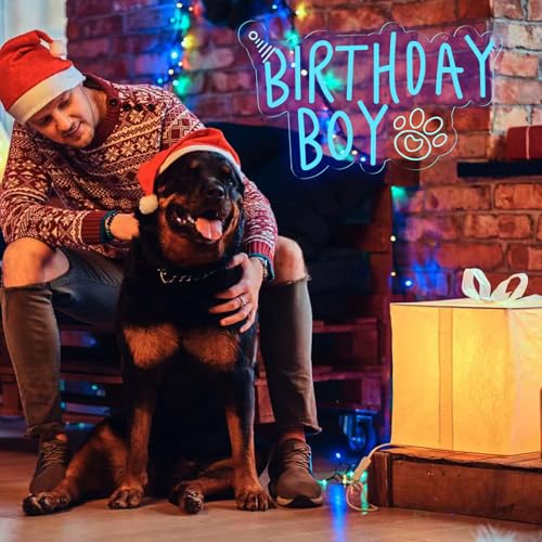 Image of Boy Dog Birthday Neon Sign Birthday Decorations Pet Puppy Birthday Party Gifts for dog lovers-14.5 x 12.2 Inches-USB Powered-Acrylic