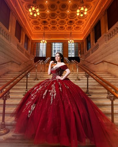 Silver Appliques Quinceanera Dresses Puffy Glitter Sweet 16 Dresses Gorgeous Beaded Ball Gown SE0332