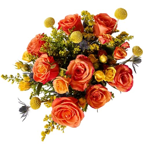 UrbanStems – The Firecracker Bouquet (No Vase) – Fresh Flowers for Delivery – Gift for Birthday, Thank You, Congratulations, Anniversary