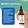 LIQUIDHEALTH USDA Organic Mullein Leaf Extract Drops for Lungs - Herbal Cleansing Drops for Smokers, Immune Support, Respiratory Health - 1000mg, 60-Day Supply, Sugar-Free, Made in USA (2 fl oz) #2