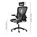 Requena Ergonomic Mesh Chair with Headrest, Flip-up Armrest & Lumbar Support, Adjustable Height Computer Office Chair B24