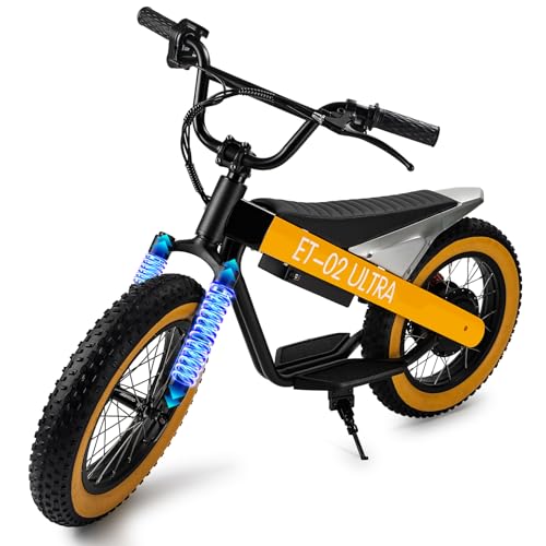 Electric Bike for Kids 16 Inch
