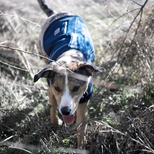Chaleco para perro Carhartt grande que evita la humedad en el pelaje 7