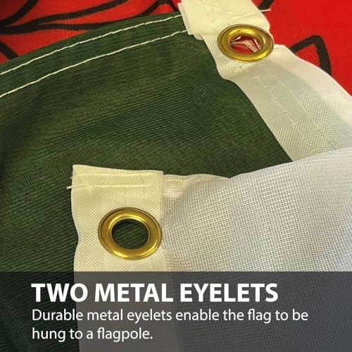 NWFlags Wales Flag 3ft x 2ft | Outdoor Heavy 110d Knitted Polyester | 3x2 Welsh Dragon Flag for Flagpoles - Image 6