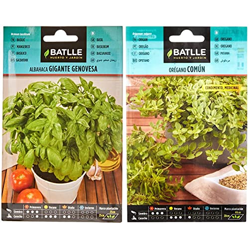 Semillas Batlle - Albahaca GIGANTE Genovesa, Color Verde & Orégano - Origanum vulgare