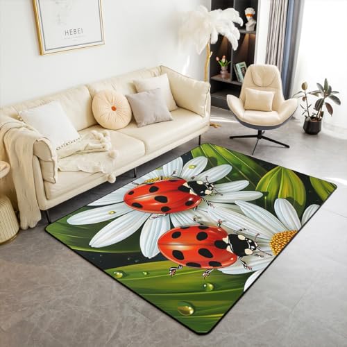 Ladybug 5x7 Area Rug with Daisy Flower Print
