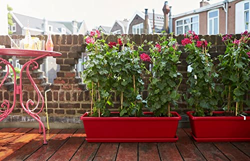 Elho Barcelona XL Saucer Sottovaso, Marrone, 80 cm...