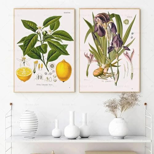 Affiche sur toile pour habiller un mur vide avec art floral scandinave