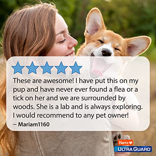 Hartz UltraGuard Plus Reflective Orange Flea & Tick Collar for Dogs and Puppies - Image 8