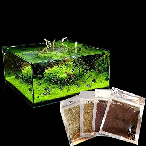 Gigicloud Aquarium Plant Seeds, Easy to Grow Aquatic Plant Seeds, Fast Growing Aquarium Carpet Seeds - Creates a Natural Ecosystem for Your Fish Small Eleocharis acicularis - Thumbnail 2