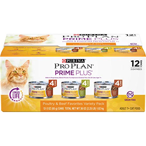 Best Grain Free Cat Food For Older Cats 10Reviewz
