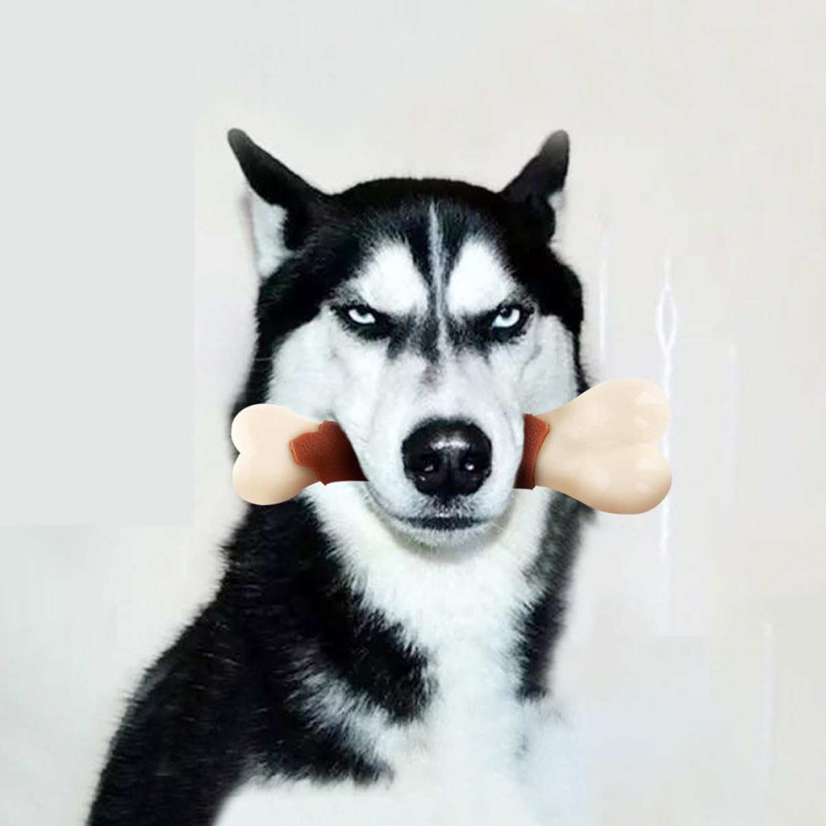 Sosoport Gioco Per Cani Per Addestramento e Pulizia Osso Masticabile Per Cani Di Grandi