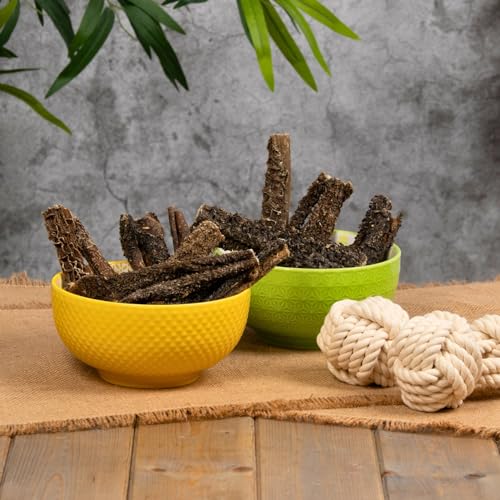 Lyra Pet® 5 kg Rinderpansen groß getrocknet 12-15 cm | Naturbelassener Kausnack | Proteinhaltiges Leckerli auch für Welpen und ältere Hunde | Nährstoffreich | Schonend getrocknet