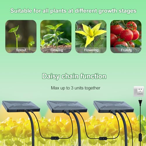 LED Pflanzenlampe 552 LED Vollspektrum 200W Sonnenlichts Pflanzenlicht E27 Led Grow Lampe für Zimmerpflanzen, Hydrokultur Gewächshaus Sukkulenten GemüSe und Blumen 5 LED Pflanzenlampe 552 LED Vollspektrum 200W Sonnenlichts Pflanzenlicht E27 Led Grow Lampe für Zimmerpflanzen, Hydrokultur Gewächshaus Sukkulenten GemüSe und Blumen – Bild 5