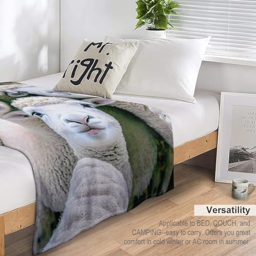 Manta de franela de oveja extrasuave de 180 x 200 cm para cama y sofá 7