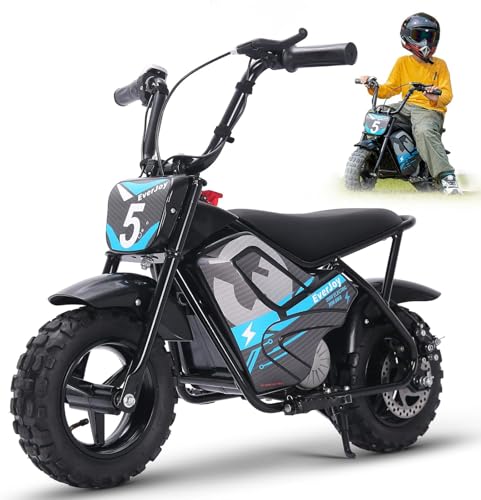 24V Electric Dirt Bike for Kids 250W High Torque Motor, 24V 9AH, 2 Speeds,10/12 MPH, UL 2849 Certificated Electric Kids Mini Bike for Ages 3+ (All-Terrain Tires Blue)