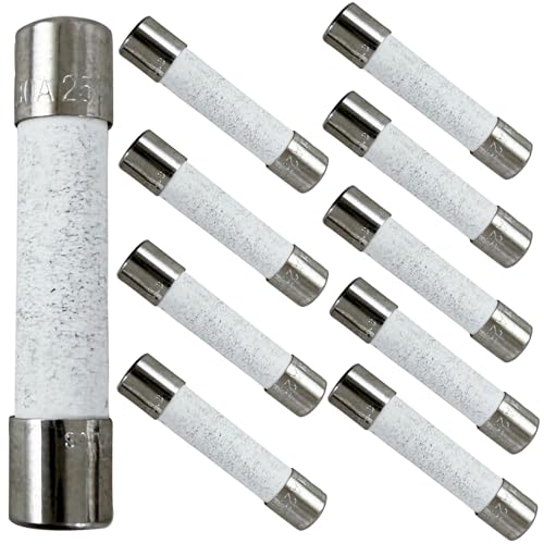 10 Pack Replacement for GE Dryer Thermal Fuse WE1X21975, Clothes Dryer Ceramic Fuses 30A 250V 3AB, Compatible with GE Hotpoint Dryer Fuse 4248223 AP5957584 PS10065161 14QBP30CFB