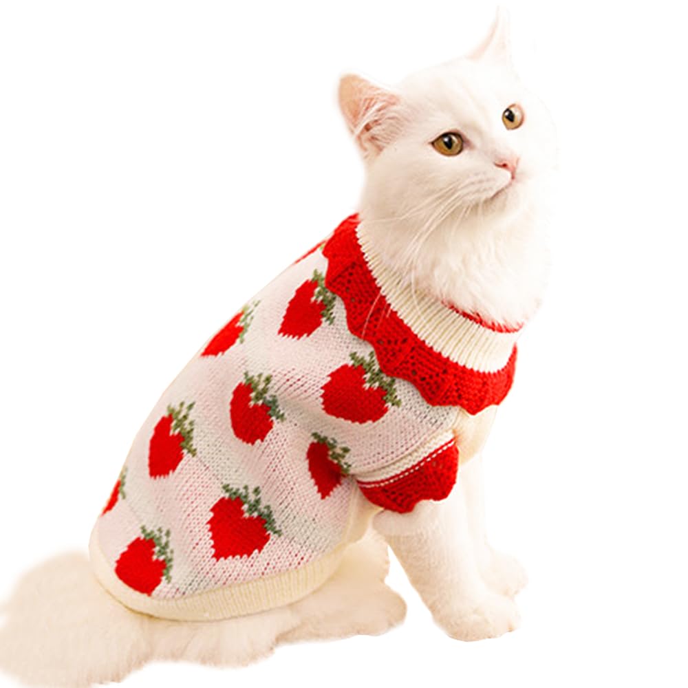 ANIAC Strawberry Sweater