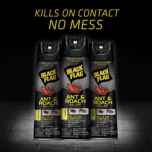 Image of Black Flag Ant & Roach Killer Aerosol, Unscented, 17.5-Ounce, 12-Pack