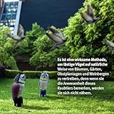 Biotop B06XJ7W4Q2 lato 4