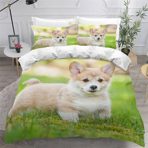 SJSXWQNzcZbg 킢Hc Jo[ t|zcJo[ |GXe _炩 ʋC R hL h_j zcJo[ (190x210cm) + 2 Jo[(43x63cm)