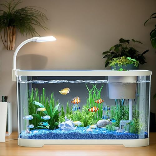 Acuario combatiente 11L, bandeja de peces combatiente principiante, tarro decorativo silencioso tortugas y animales acuáticos, kit de inicio de acuario completo, acuarios de oficina para la tortuga de