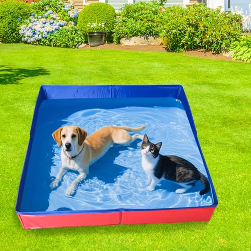 Hundepool Katzenpool Mit 6 Fischen Spielzeug, 50x50x10cm Hundebadewanne Faltbare Mini Hunde Pool Aus PVC, Planschbecken Hund, Schwimmbecken Für Kleine Hunde Katzen Haustiere (Rot)