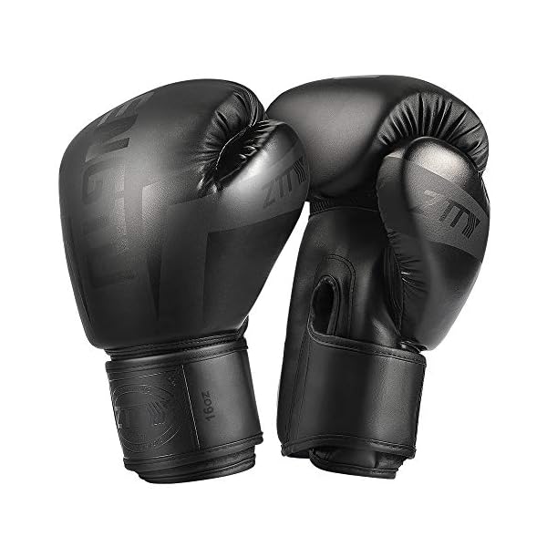 Boxing Gloves Kickboxing Muay Thai Punching Bag MMA Pro Grade Sparring Training Fight Gloves for Men & Women (Black, 10oz)