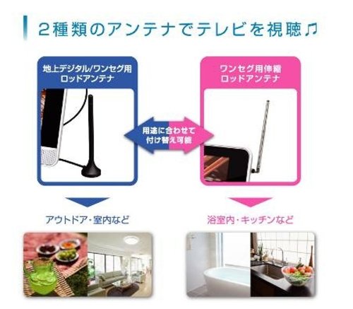 Amazon.co.jp: GREEN HOUSE 防水ポータブルDVDプレーヤー GH-PDV9DWT