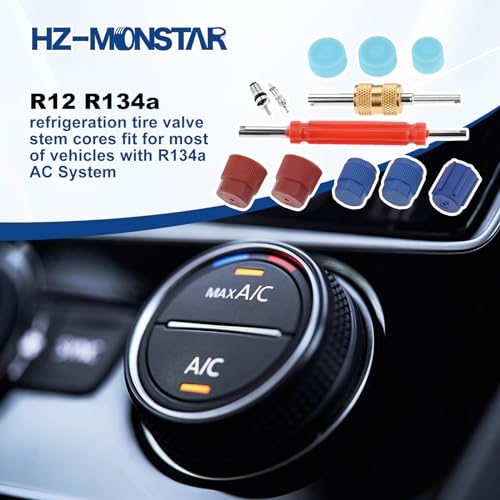 Kit 50 piezas núcleo válvula aire acondicionado miniatura 6