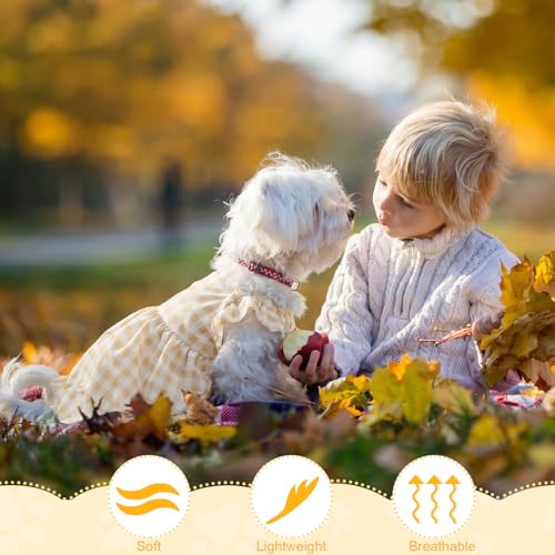 Abbylike 5 Pcs Dog Dress Floral Daisy Sunflowers Lemon Plaid Bowknot Dog Clothes Summer Yellow Puppy Dresses Outfits Cute Apparel for Small Pets Cats Female (Large) - Image 6