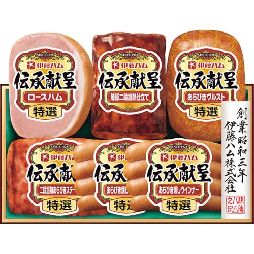 Ε ~Mtg ɓn ` n Mtg 蕨 v[g lCi (TO-503)