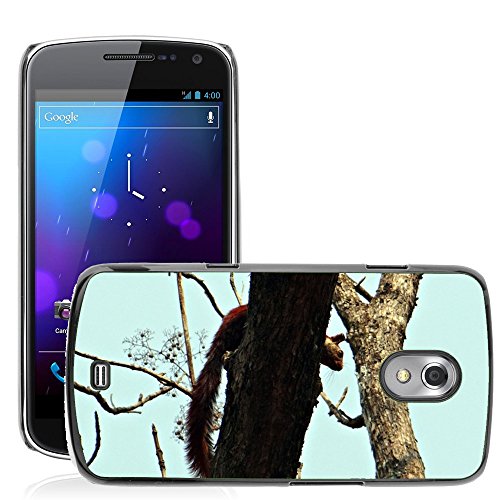 Durable and strong frame offers superior protection against drops and shock