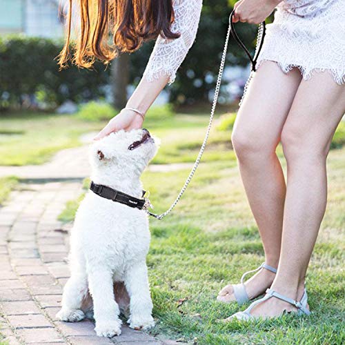 PETTOM Hundeleine Stark Metall Kettenleine, Übungsleine mit PU Leder und Gepolstertem Nylon-Griff, Trainingsleine Für Kleine Mittlere und Große Hunde (S: 0.2cm*180cm) Silber